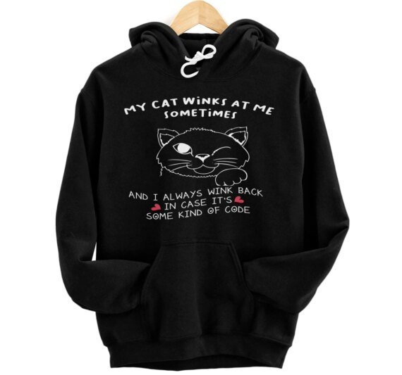 Cat Lover Funny Gift - My Cat Winks At Me Sometimes Pullover Hoodie