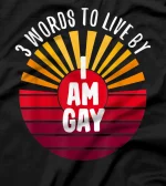 I Am Gay 3 Words On A T-Shirt