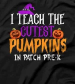 I teach the cutest pumpkins in patch pre-k T-Shirt