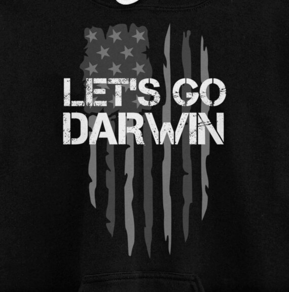 Lets Go Darwin Funny Saying American US Flag Pullover Hoodie