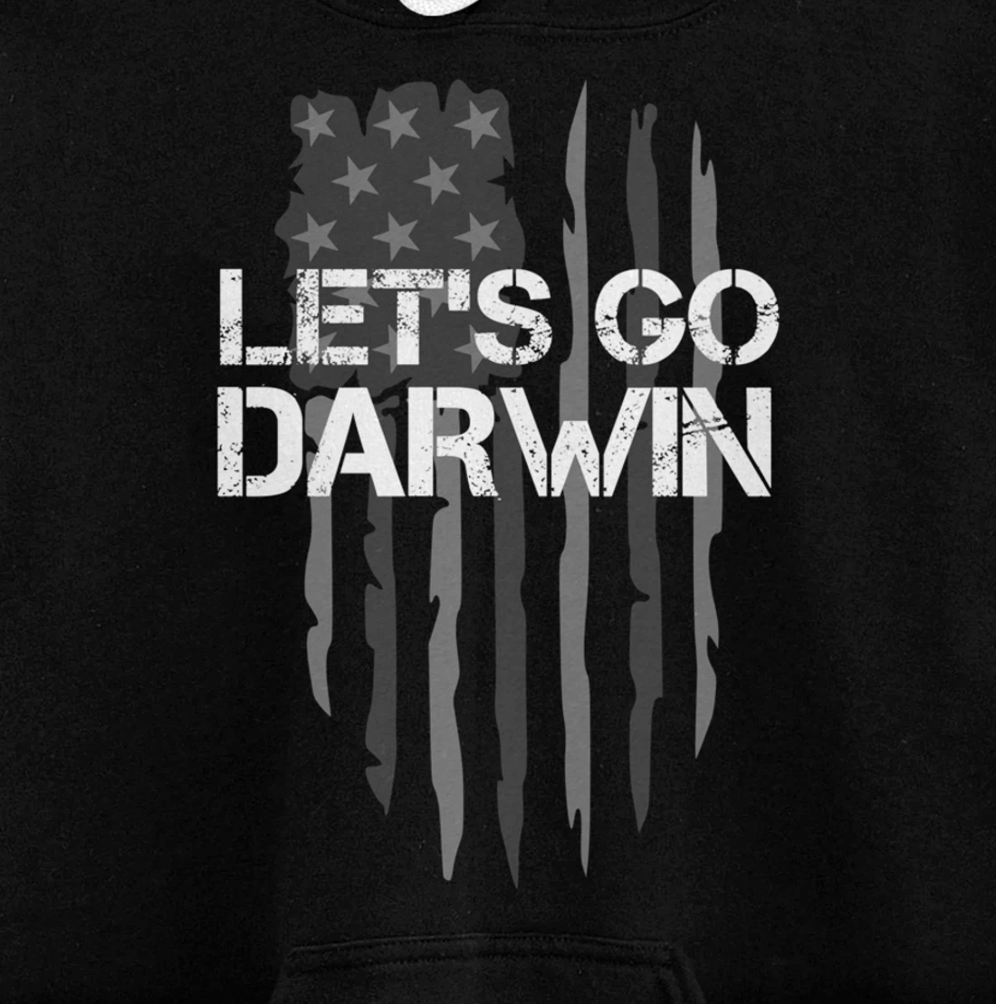 Lets Go Darwin Funny Saying American US Flag Pullover Hoodie
