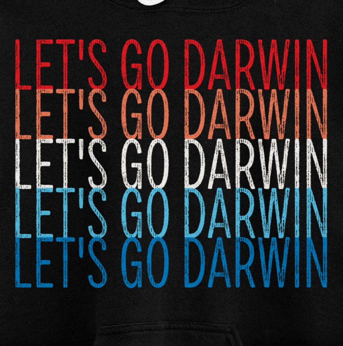 Lets Go Darwin Sarcastic Humor Funny Saying America Pullover Hoodie