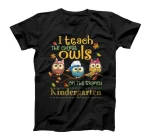  I Teach The Cutest Owls Kindergarten Teacher Fall Autumn T-Shirt