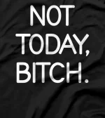  Not Today Bitch, Sarcastic, Funny, Joke, Family T-Shirt