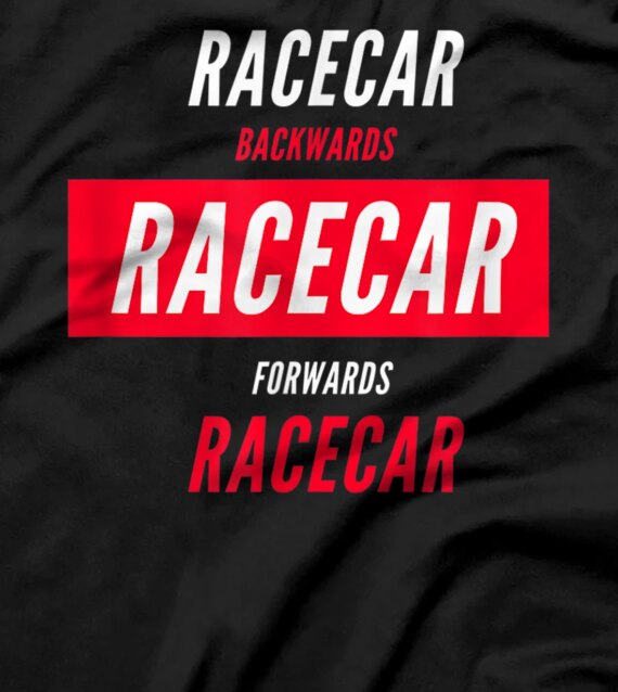  RACECAR backwards and forwards is still a RACECAR T-Shirt