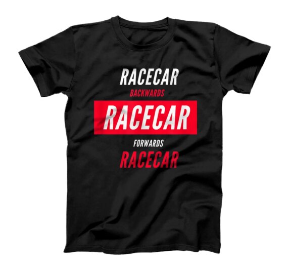  RACECAR backwards and forwards is still a RACECAR T-Shirt