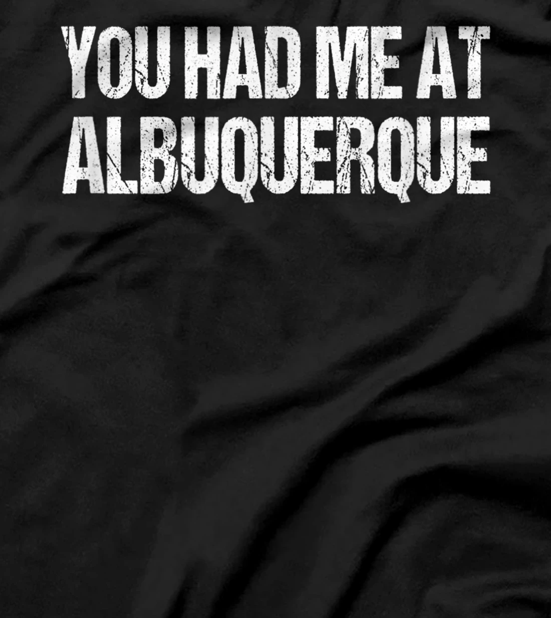 You Had Me at Albuquerque Couples New Mexico Lovers Funny T-Shirt